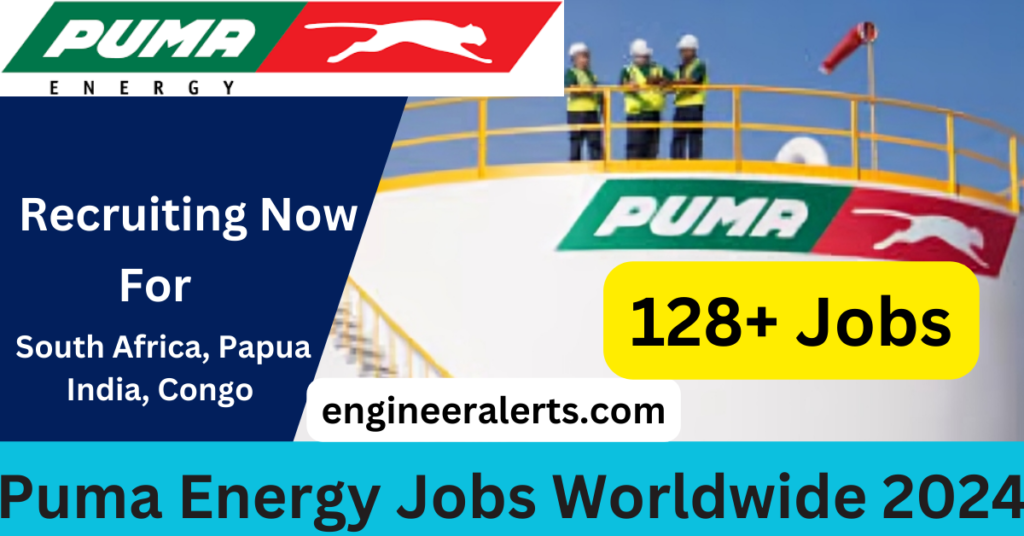 Puma Energy Jobs 2024