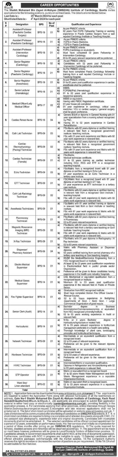 (SMBZAN) Jobs 2024