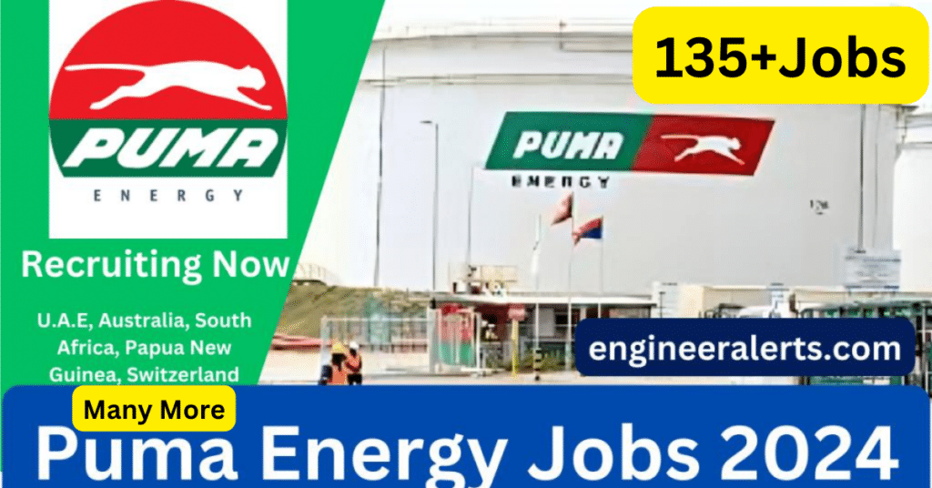 Puma Energy Careers 2024