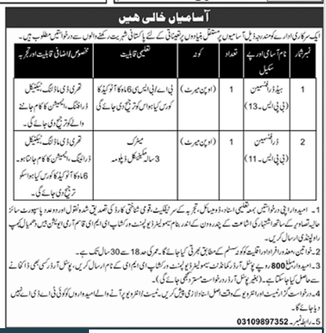 DAE Government Department Rawalpindi Jobs 2024