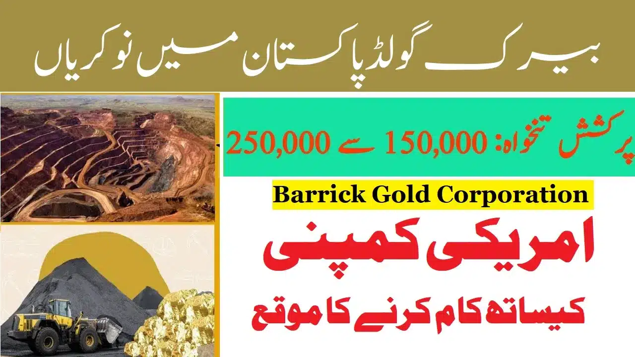 Reko Diq Jobs