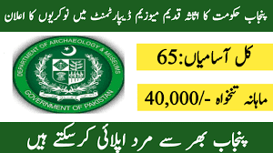 Punjab Archaeology Department Jobs 1